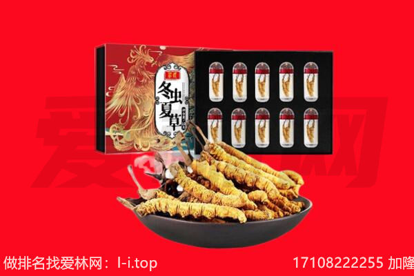 景德镇回收虫草.jpg